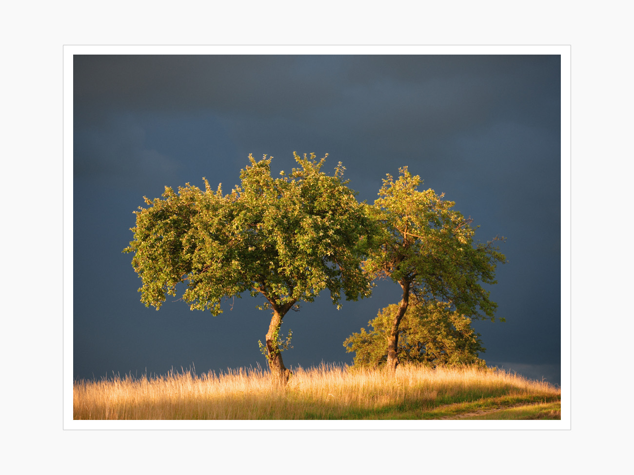 Max Schiefele Alle Bilder  DSF6648